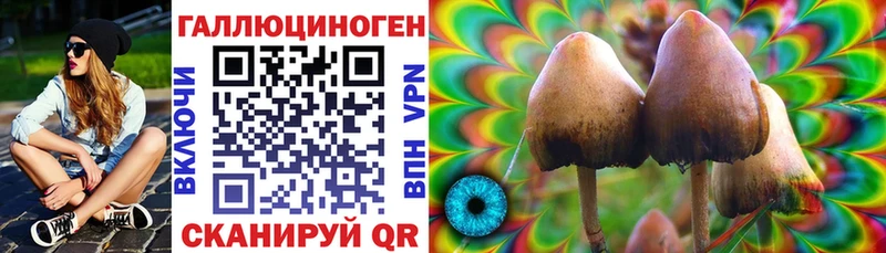 Галлюциногенные грибы Psilocybe  ссылка на мегу зеркало  сайты даркнета телеграм  Родники 